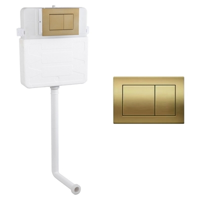 Badkamer Goudkleur Smart Toilet met bovenste cistern en aanpasbare gekleurde watertank