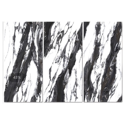 60x120 Glanzende Zwarte en Witte Steen Porseleinen Vloertegels voor Modern Design 50 Stuks