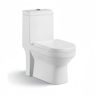 Traditionele keramische toiletten met achterste wand en wasbakken met langzaam toiletbedekking