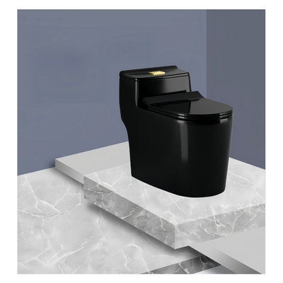 Installatie vloer gemonteerd dubbel spoelen Siphon spoelen Zwart keramisch een stuk toilet