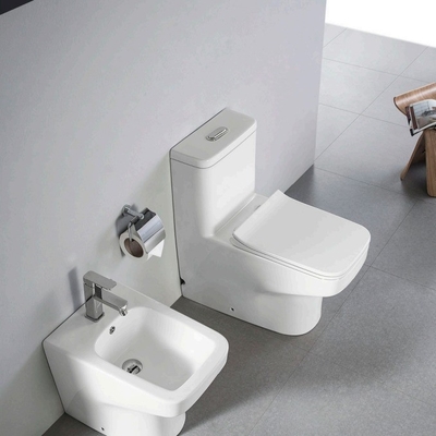Chinees luxe keramische sifonische eenstukkleurmattoilet met bufferbedekking