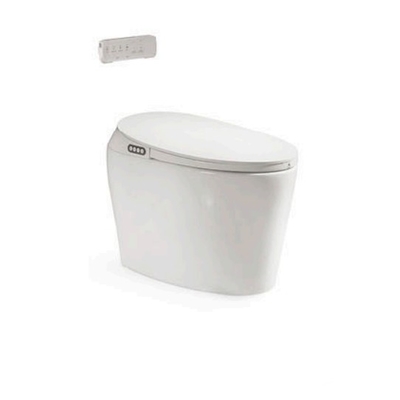 110v Automatische keramische badkamer toilet zelfreinigend openbaar Smart Electric Splash Sensor Intelligente toiletbak