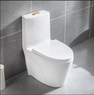 Geavanceerde functie Waterdrukregeling Eén stuk toiletbak 300 mm 400 mm